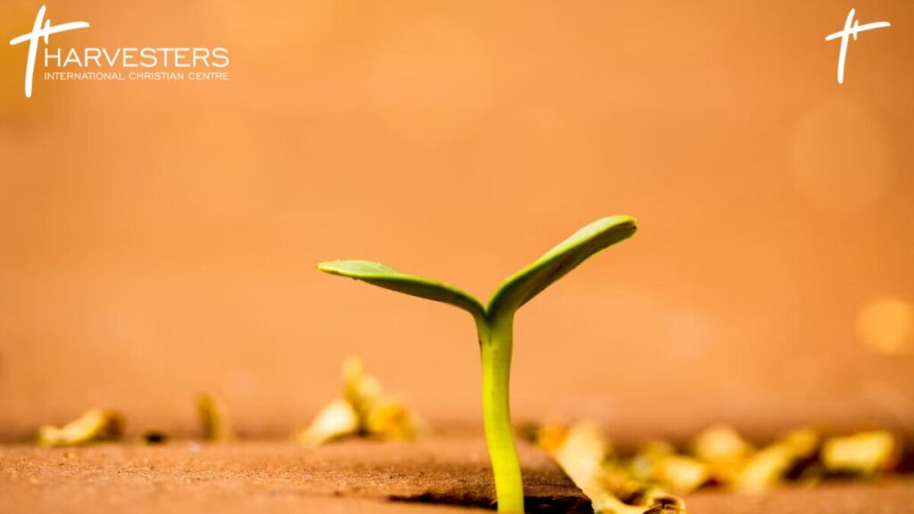 Spiritual Growth Scriptures: Bible Verses and Practical Steps to Grow in Faith